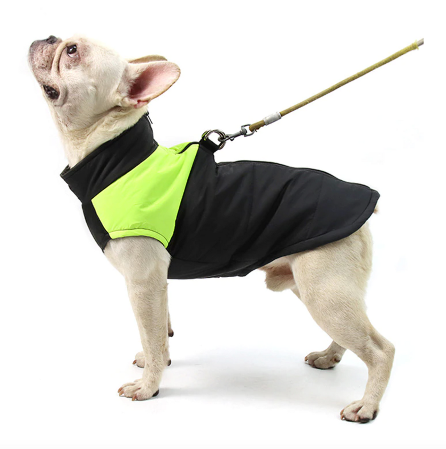 french bulldog harness coat