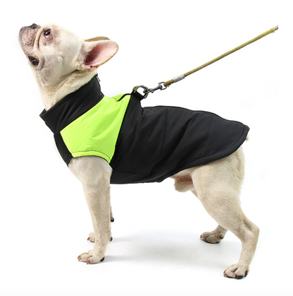 french bulldog harness coat