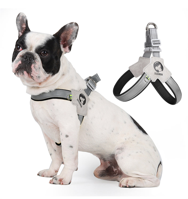 LightLatch Reflective Harness for French Bulldogs