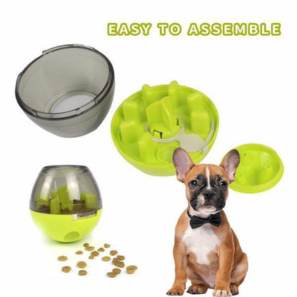 french bulldog iq ball