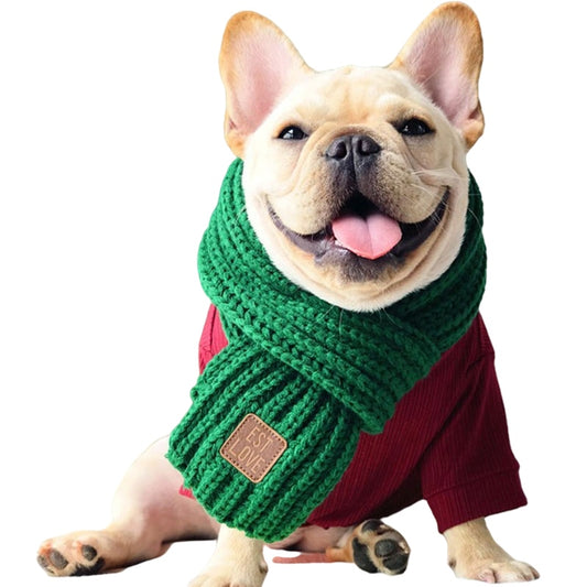 french bulldog scarf
