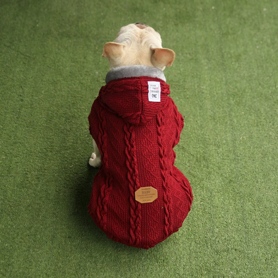french bulldog winter clothing 