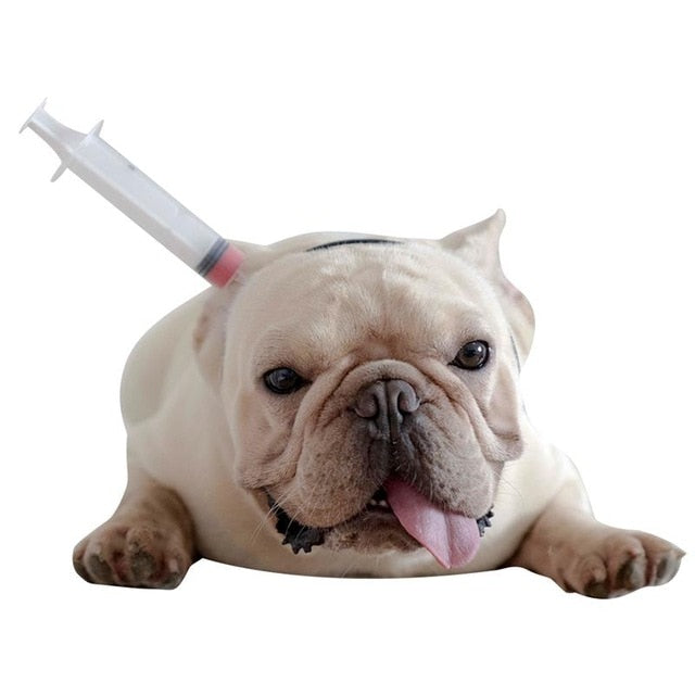 french bulldogs accessories