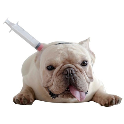 french bulldogs accessories