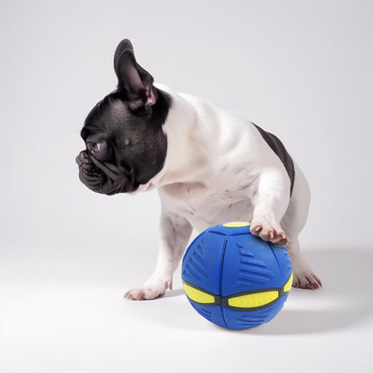 Frenlite - Frenchie Toy Ball with LED Light