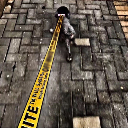 frenchie bulldog leash