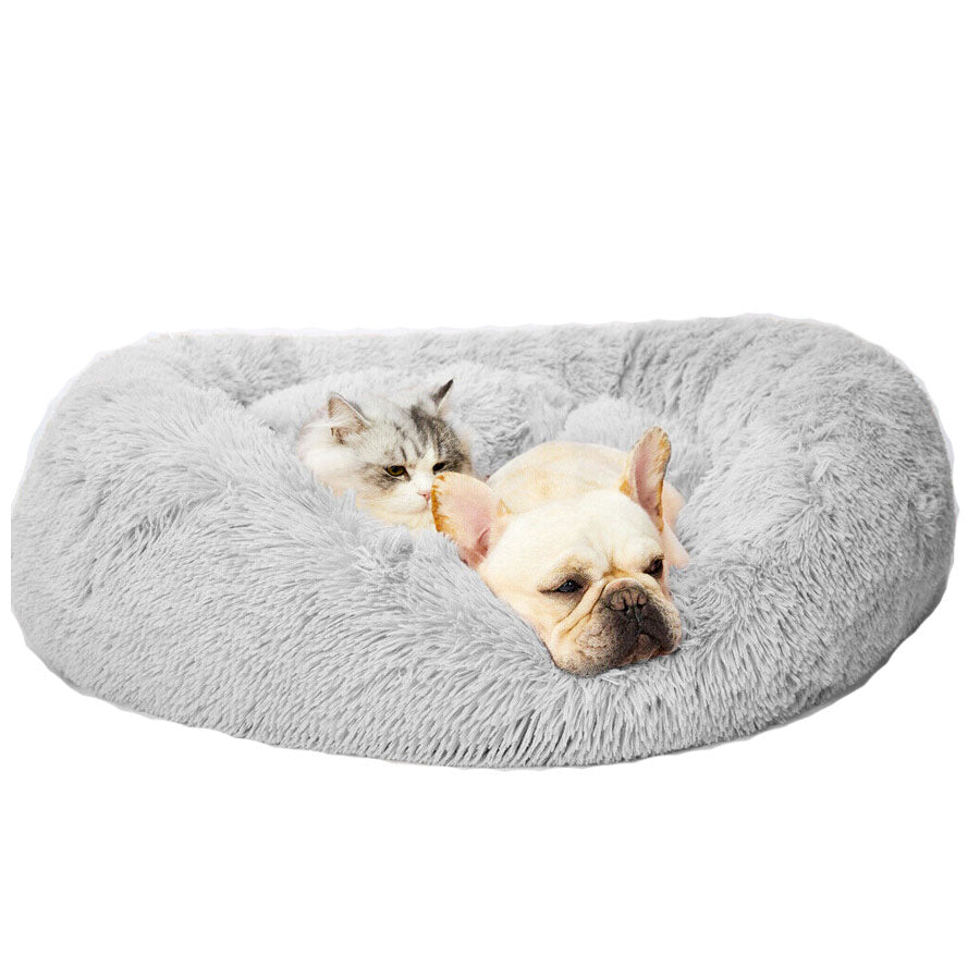 frenchie dog bed