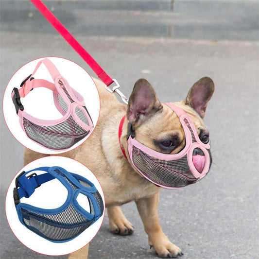 frenchie dog muzzle