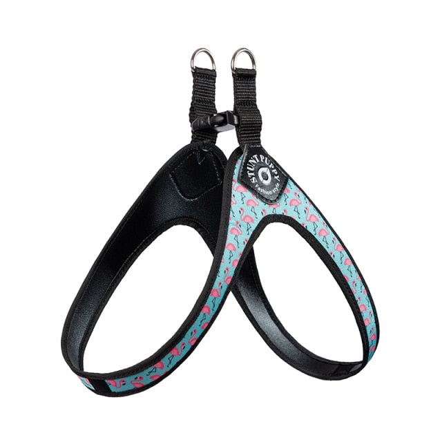 frenchie easy-walk harness