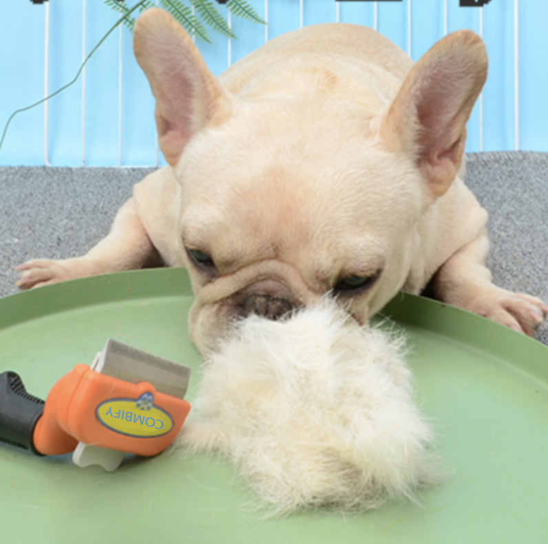 frenchie shedding brush