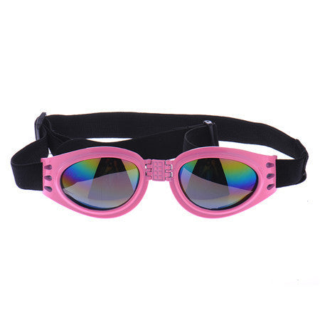 frenchie sunglasses