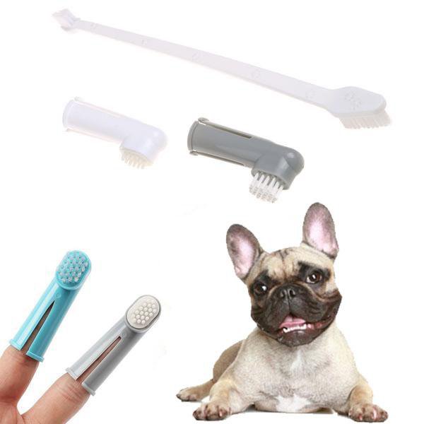frenchie toothbrush