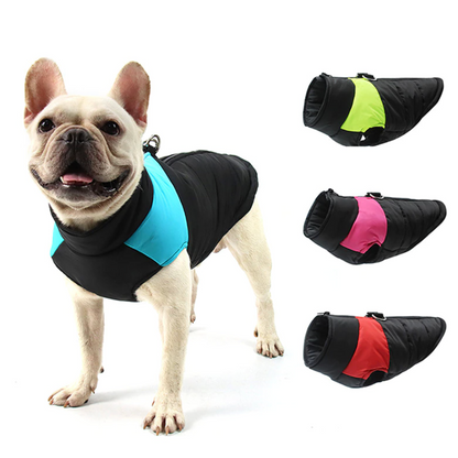 frenchie vest