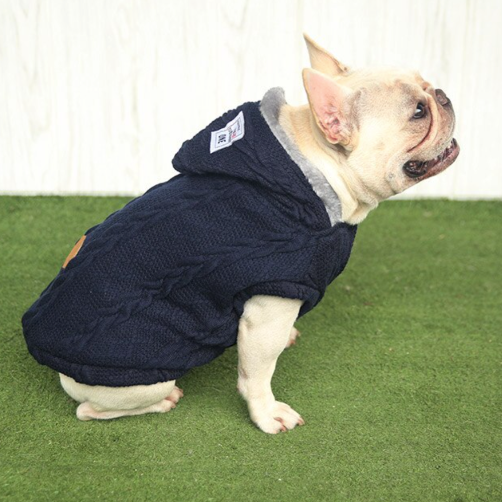 frenchie warm sweater