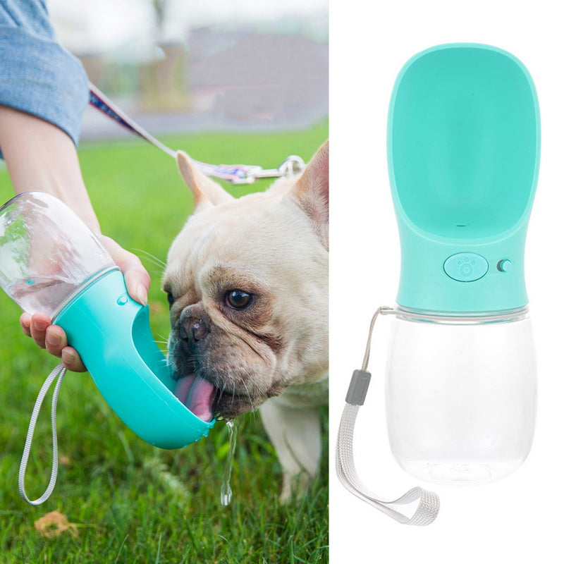 frenchie water bottle