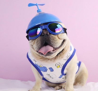 frenchies bike helmet