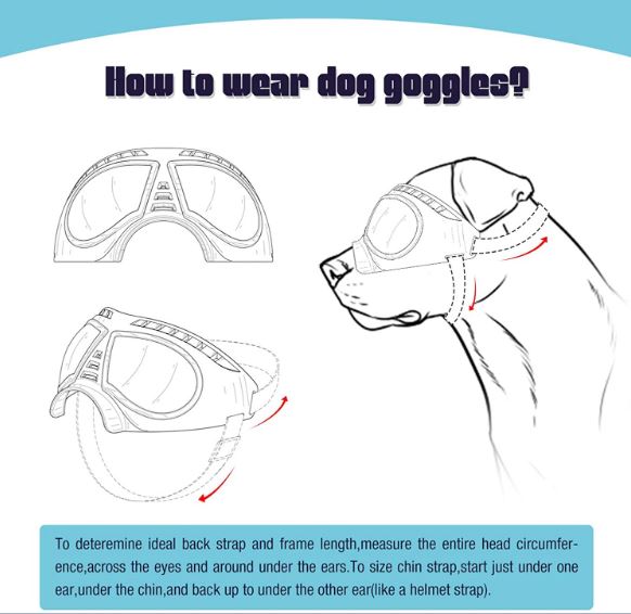 French Bulldog Anti-UV Windproof Sunglasses - Frenchie Bulldog Shop