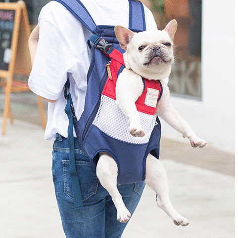 Frenchie Backpack| Dog Carrier Front Pack for Small Dog