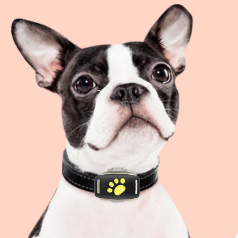 Findefy Pro : Dog GPS Tracker - Frenchie Bulldog Shop