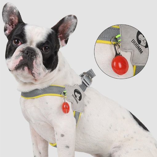 harness for french bulldog