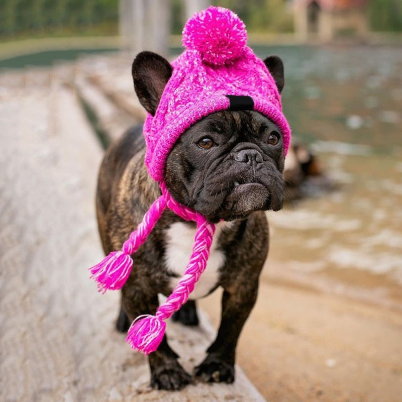 knitted hat for dogs