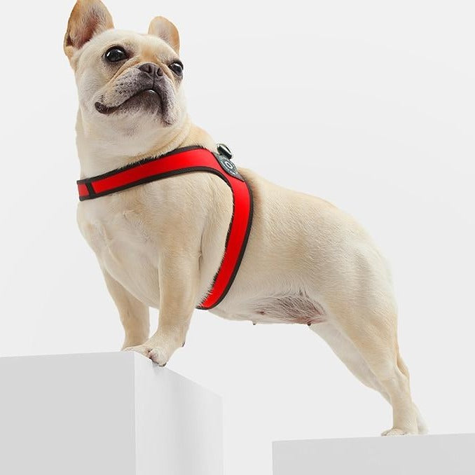 leather bulldog harness