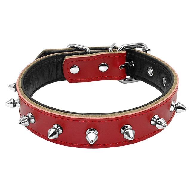 leather collar for French Bulldogs