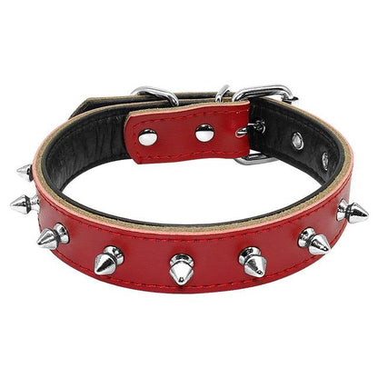 leather collar for French Bulldogs