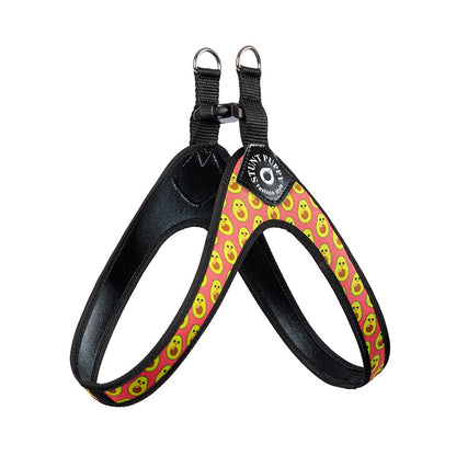 leather easy-walk harness