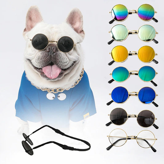 Sunglasses for French Bulldog - Frenchie Bulldog Shop