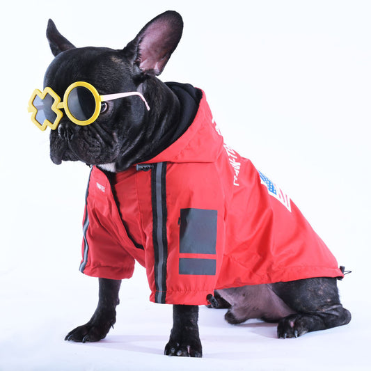 Pawmax Raincoat V2 - Frenchie Bulldog Shop