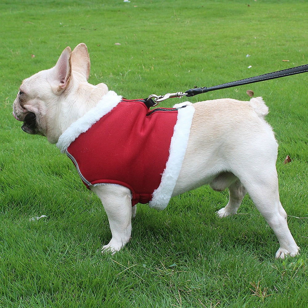 Reflective Harness for Winter (WS304) - Frenchie Bulldog Shop