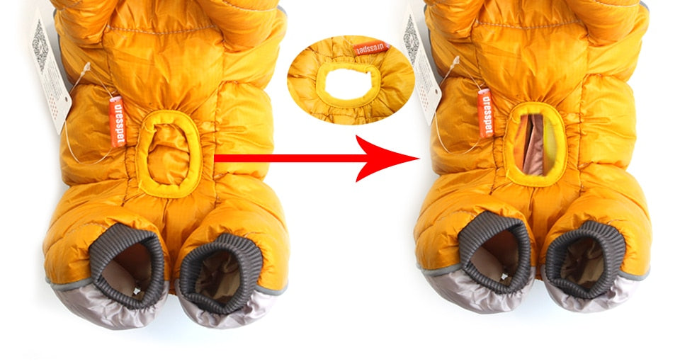 Daisy Coat [ New Arrivals ] - frenchie Shop