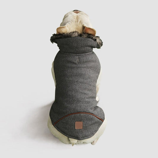 Cotton Coat For Frenchie (CS031) - Frenchie Bulldog Shop