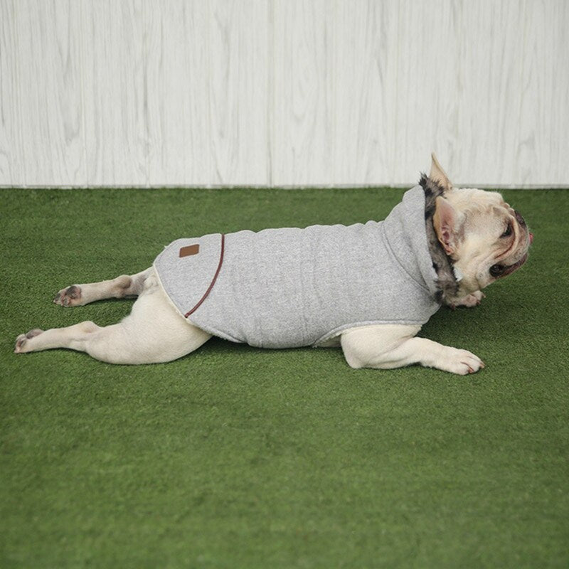 Cotton Coat For Frenchie (CS031) - Frenchie Bulldog Shop