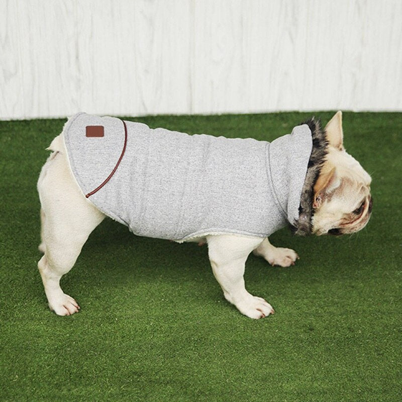 Cotton Coat For Frenchie (CS031) - Frenchie Bulldog Shop
