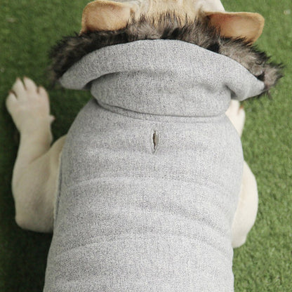 Cotton Coat For Frenchie (CS031) - Frenchie Bulldog Shop