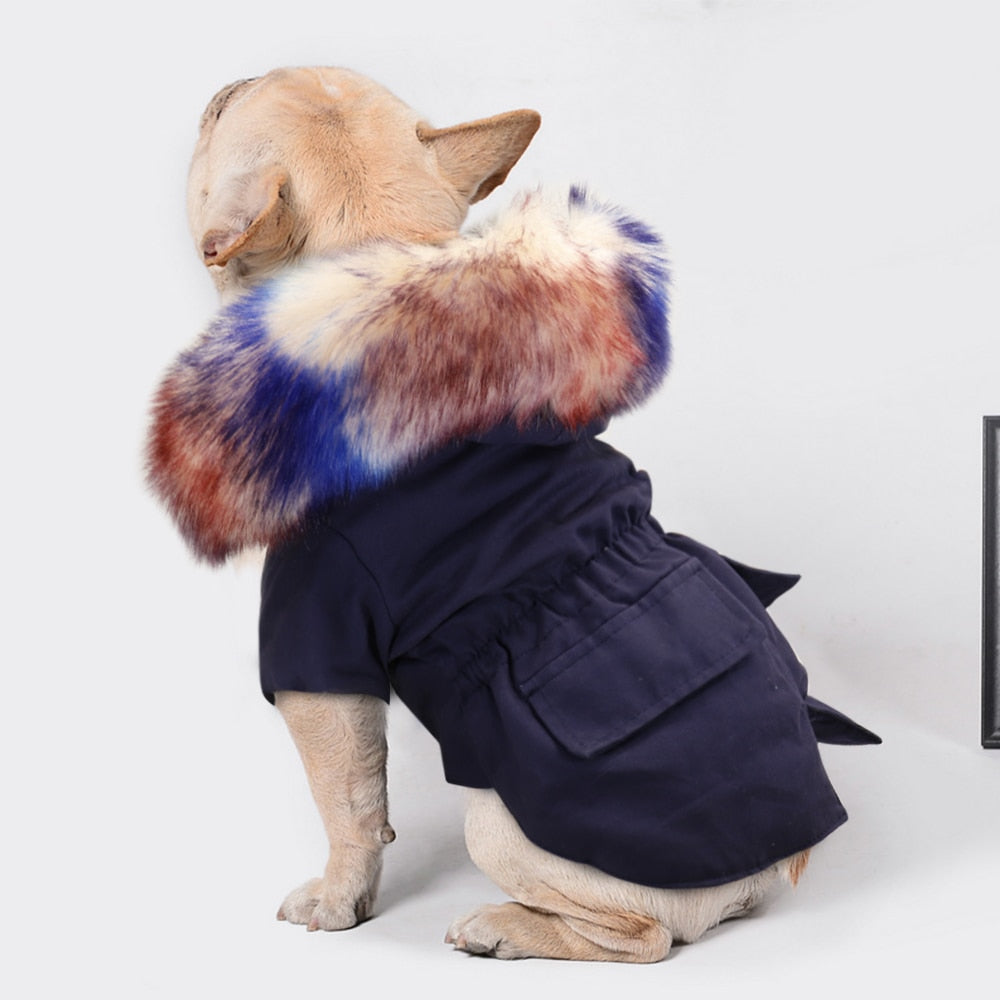 PawMax Coat V2 - French Bulldog Coat (WS46) - Frenchie Bulldog Shop