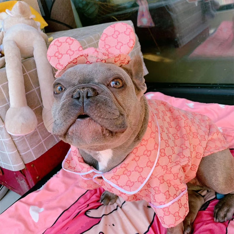 Louis Pup Pink Sweater