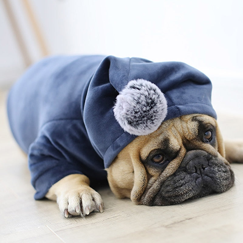 Christmas Stylish Winter Jacket for French Bulldog (WS420) - Frenchie Bulldog Shop