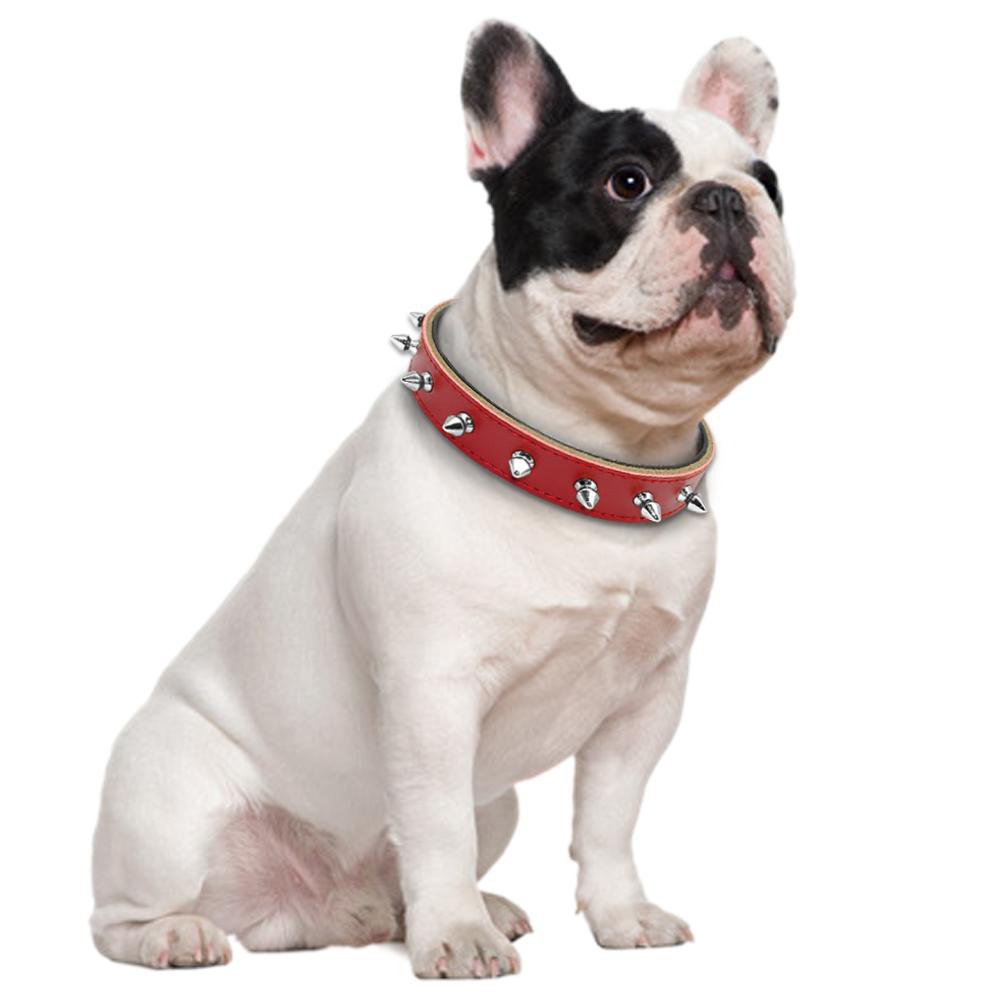 Adjustable Collars (WS61) - Frenchie Bulldog Shop