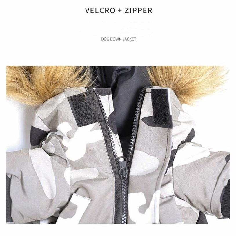 Snowsuit Winter Down Jacket for French Bulldog (WS300) - Frenchie Bulldog Shop