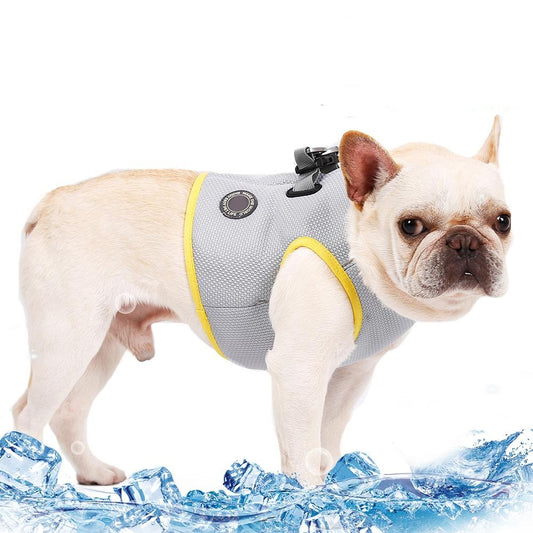 Coolify : Cooling Harness (CS21) - Frenchie Bulldog Shop