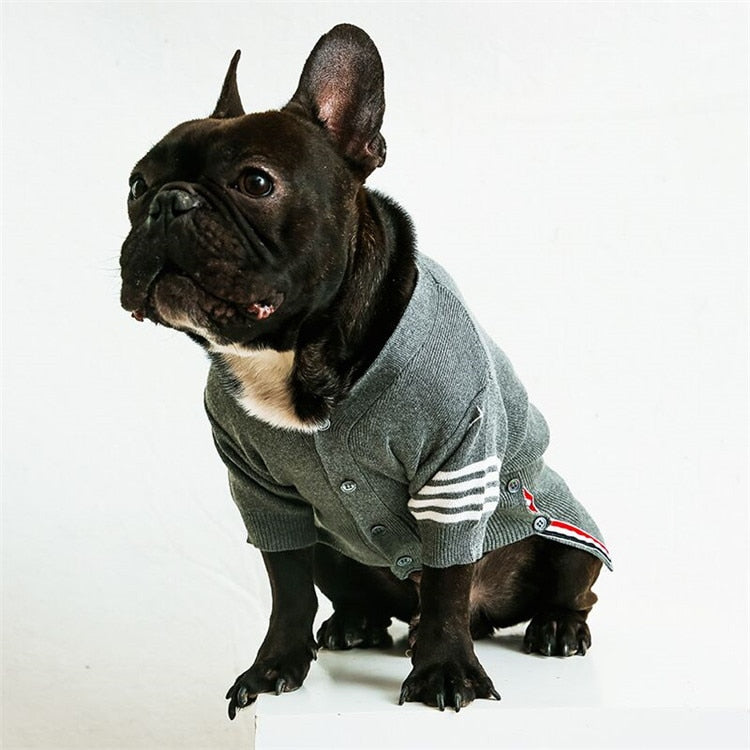 High Quality French Bulldog Sweater - Frenchie Bulldog Shop