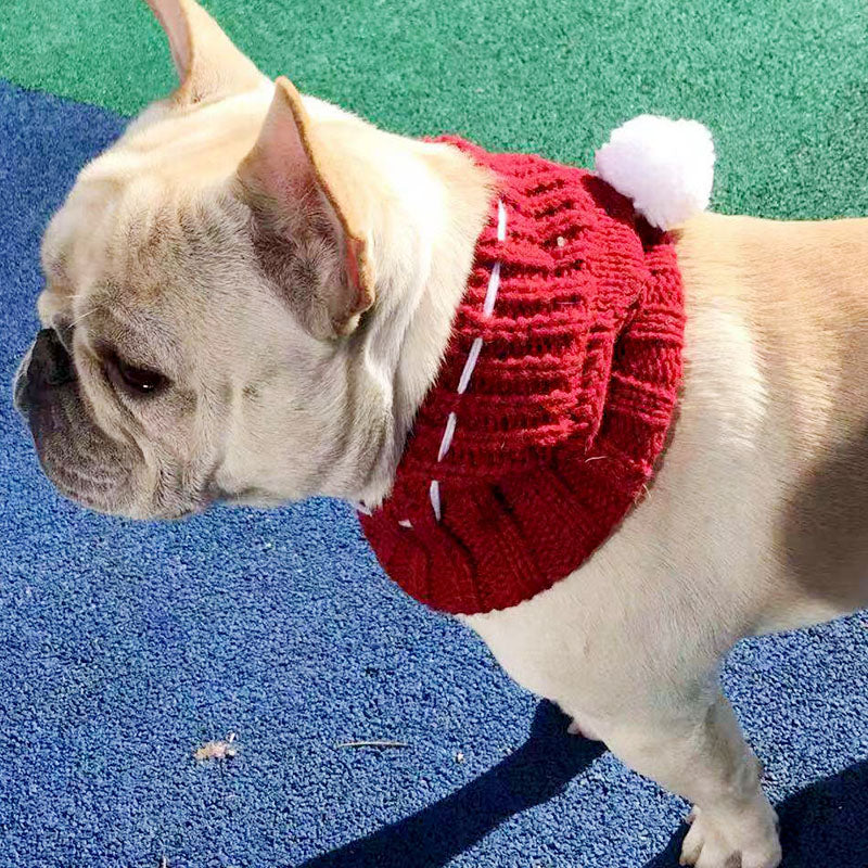 Winter Woolen Hat for French Bulldog - Frenchie Bulldog Shop