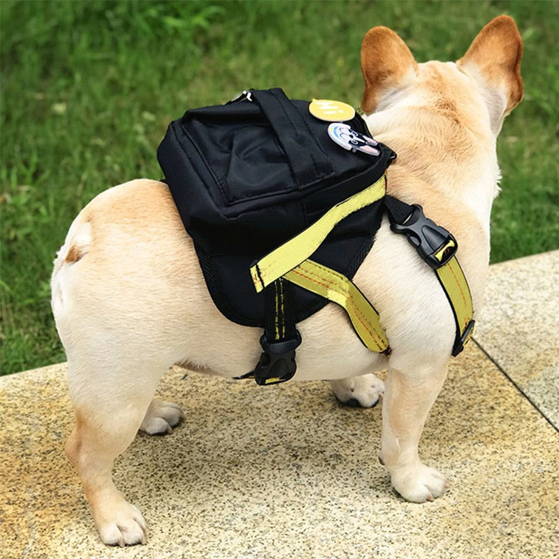 Self Backpack for French Bulldog WS225 - Frenchie Bulldog Shop