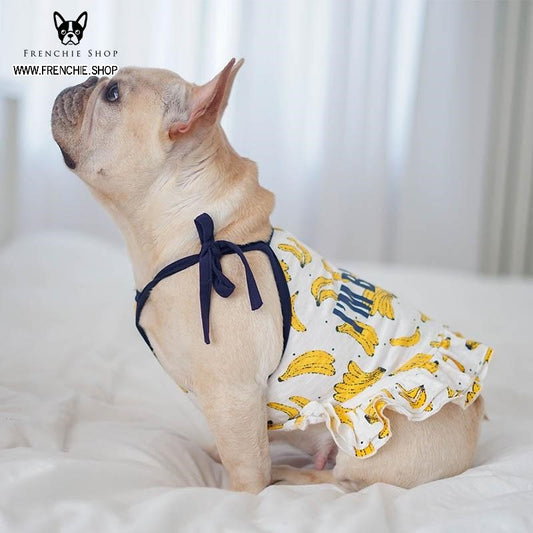 Fruit Print Frenchie Summer Dress (W322) - Frenchie Bulldog Shop