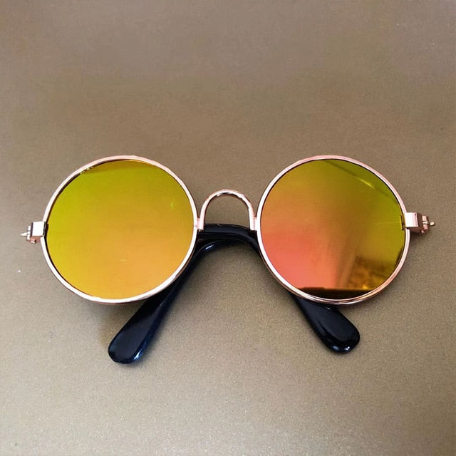 Sunglasses for French Bulldog - Frenchie Bulldog Shop