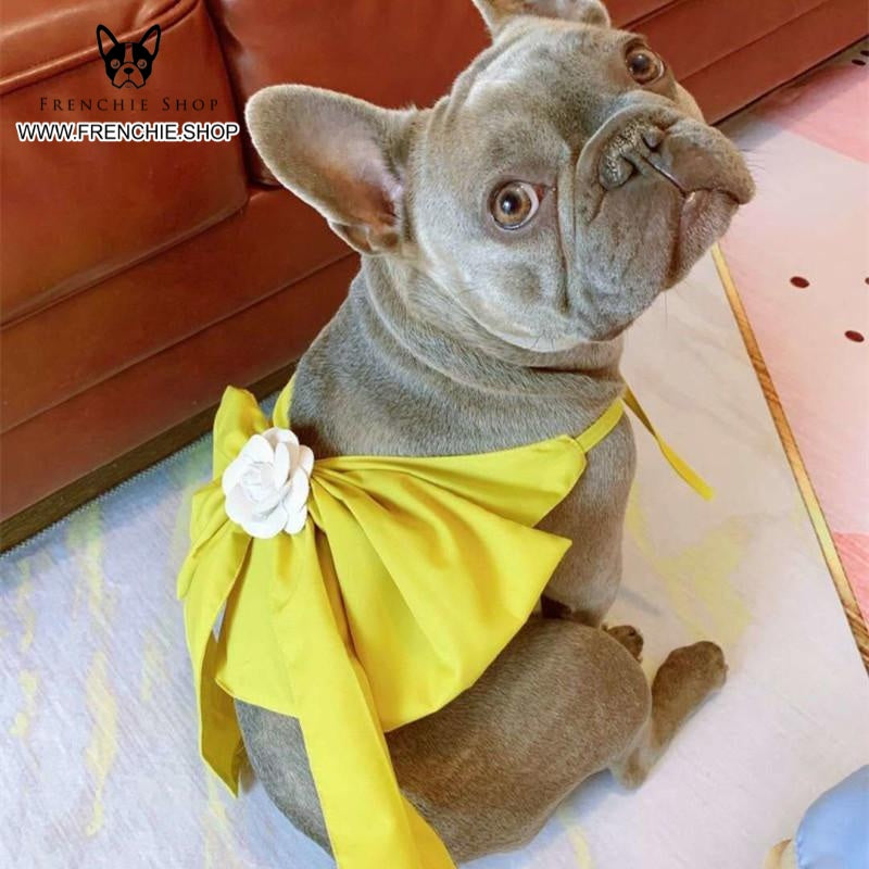 Frenchie Summer Dress Stylish Skirt (W309) - Frenchie Bulldog Shop