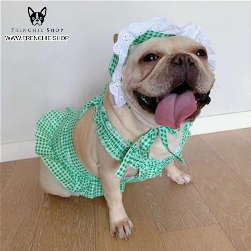 Frenchie Summer Outfit Elegent Pet Dress (W311) - Frenchie Bulldog Shop